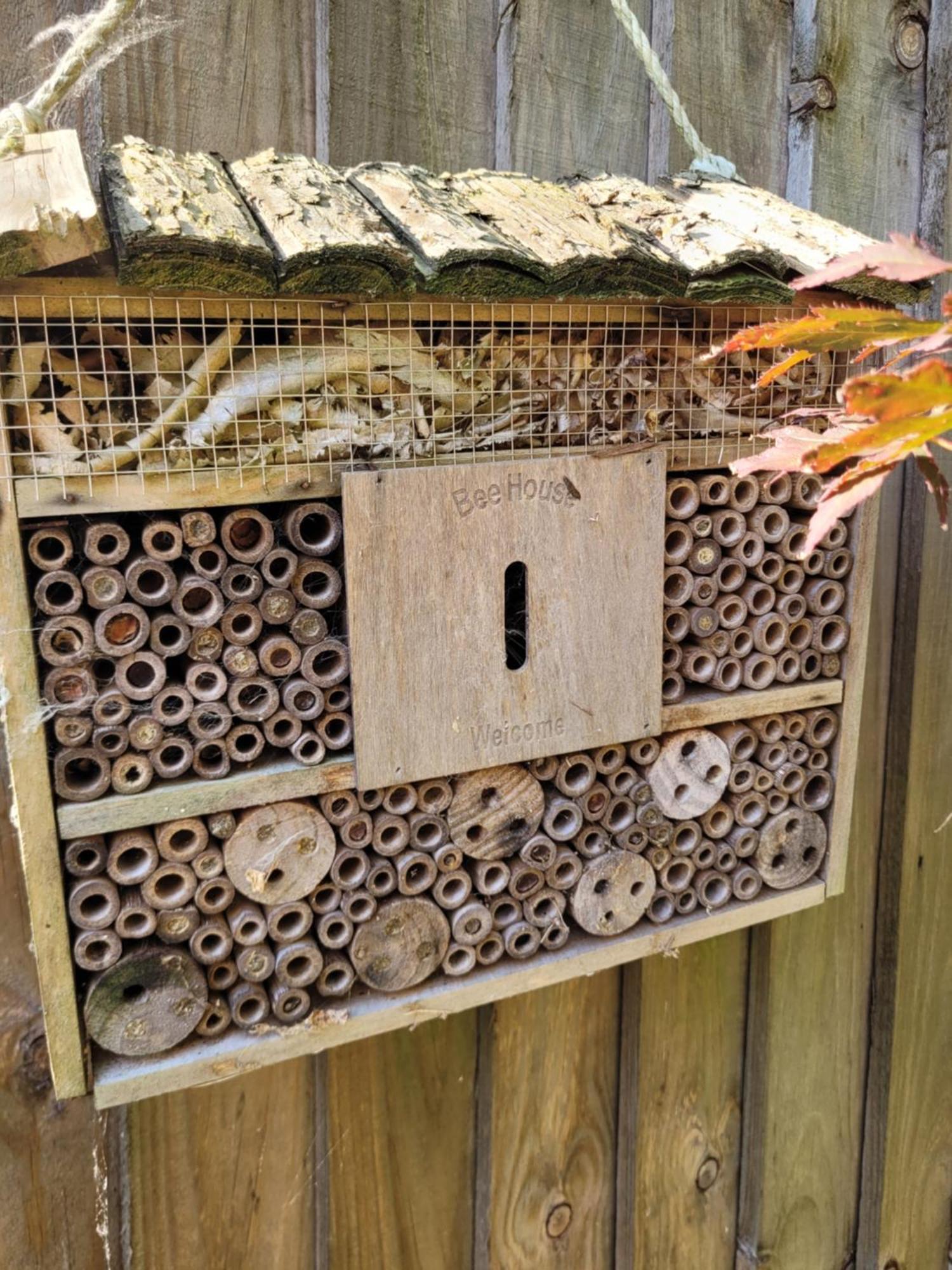 Bumblebee Bungalow - With Separate Office And Gaming Space By Catchpole Stays Colchester Eksteriør bilde